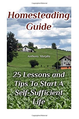 Homesteading Guide 25 Lessons and Tips To Start A Self-Sufficient Life: (Homesteading for Beginners, Off-Grid Living)