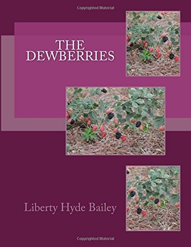 The Dewberries