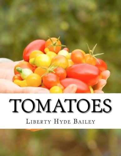 Tomatoes