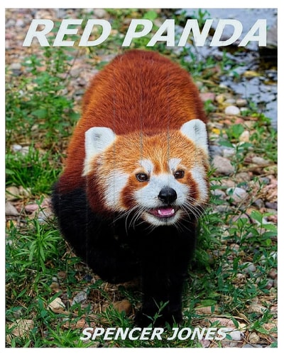 Red Panda Learn about Red Pandas-Amazing Pictures and Fun Facts