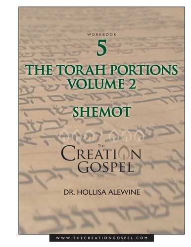 Creation Gospel Workbook Five: Shemot Volume II
