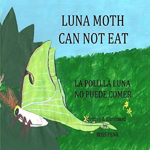 Luna Moth Can Not Eat La Polilla Luna No Puede Comer