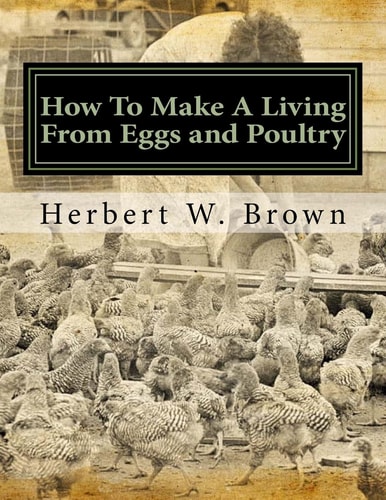 How To Make A Living From Eggs and Poultry