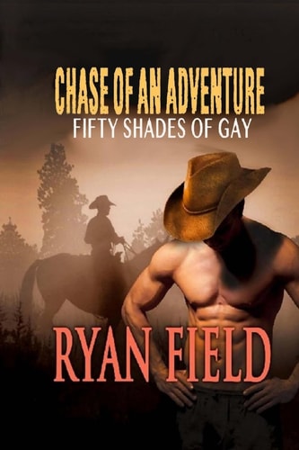 Chaase of an Adventure Fifty Shades of Gay