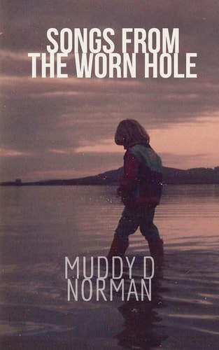 Songs from the Worn Hole Selected Poems 1995 2017