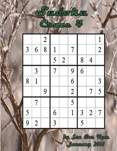 Sudoku Craze 4