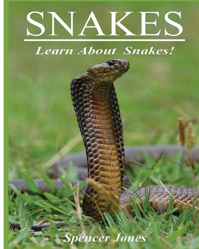 Snakes Fun Facts and Amazing Pictures - Learn about Snakes