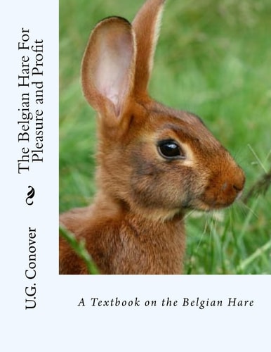 The Belgian Hare For Pleasure and Profit A Textbook on the Belgian Hare