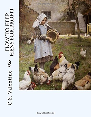 How To Keep Hens For Profit