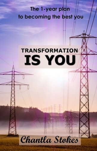 Transformation Is You The 1-Year Plan to Becoming the Best You