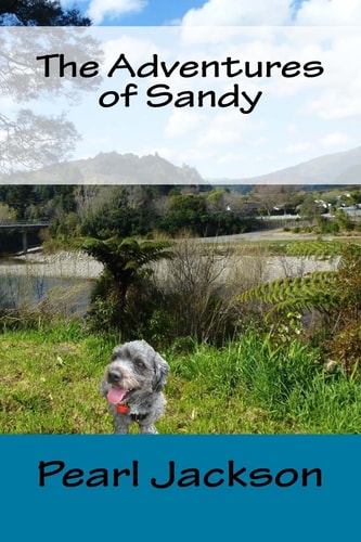 The Adventures of Sandy