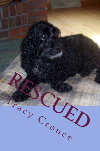 Rescued The Story of a Cocker Spaniel's Second Chance at Life