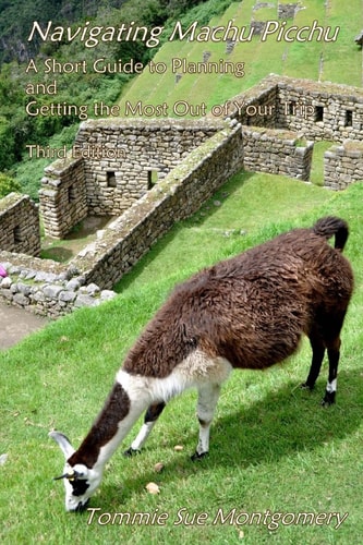 Navigating Machu Picchu A Short Guide to Planning and Getting the Most Out of Your Trip