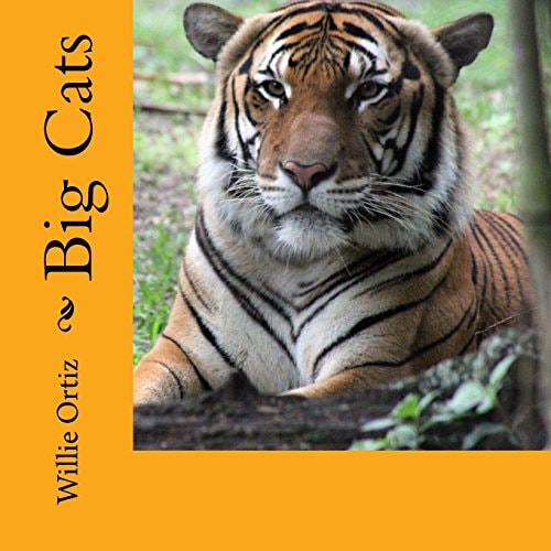 Big Cats