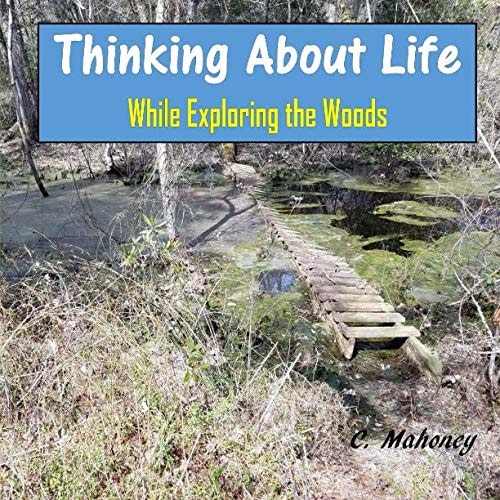 Thinking About Life While Exploring the Woods
