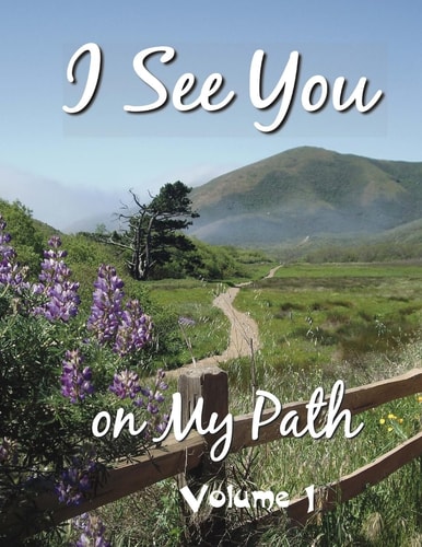 I See You On My Path Volume 1