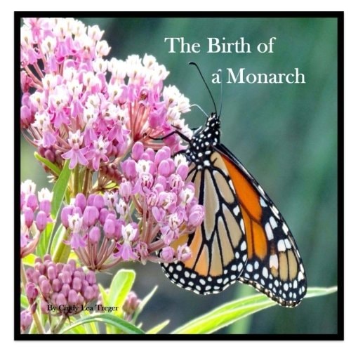 The Birth Of A Monarch Metamorphosis of a Monarch Butterfly