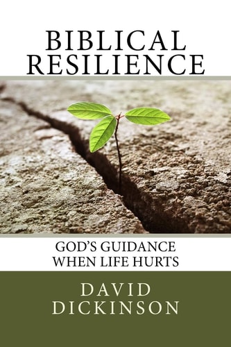 Biblical Resilience