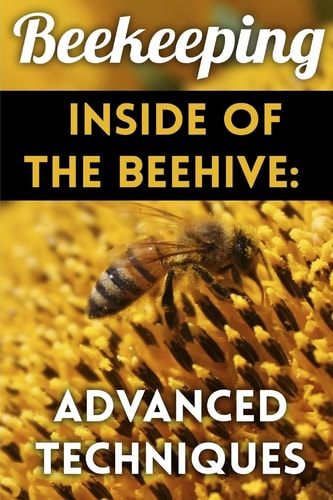 Beekeeping - Inside of The Beehive Advanced Techniques: (Backyard Beekeeping, Beekeeping Guide)