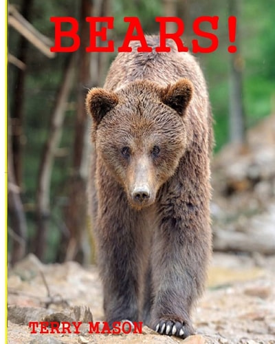 Bears Childrens Book About Bears -Learn about Bears Behaviour and Enjoy Many Great Pictures