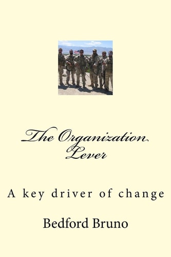 The Organization Lever A Key Driver of Change