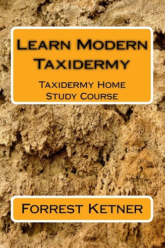 Learn Modern Taxidermy Taxidermy Home Study Course