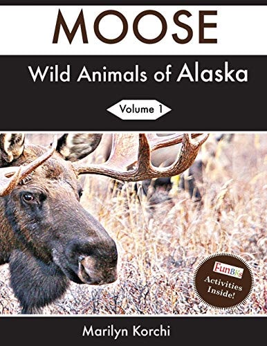 Wild Animals of Alaska Moose