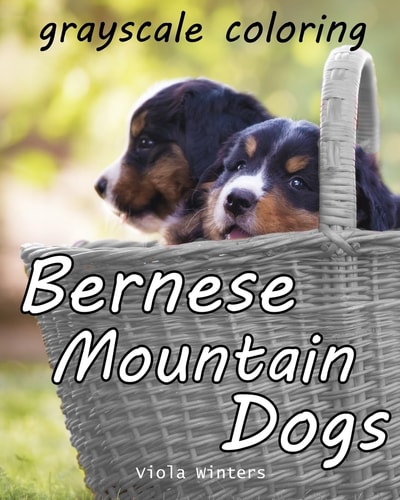 Bernese Mountain Dogs Grayscale Coloring