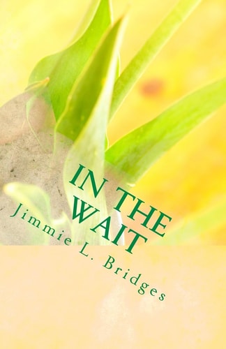 In the Wait God's Promises Are Real