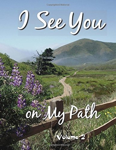 I See You On My Path - 2 Volume 2