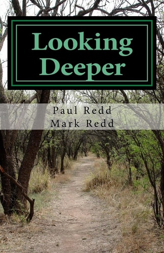 Looking Deeper Gospel Inspiration, Insights, and Essays