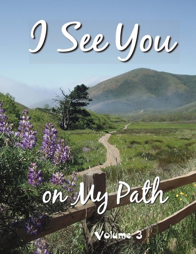 L See You On My Path - 3 Volume 3