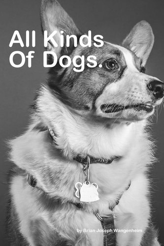 All Kinds Of Dogs Beautiful Pictures of Dogs