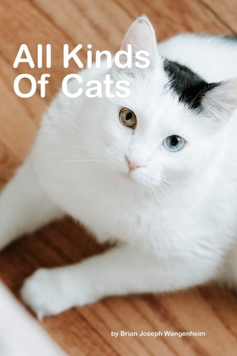 All Kinds Of Cats Beautiful Pictures of Cats
