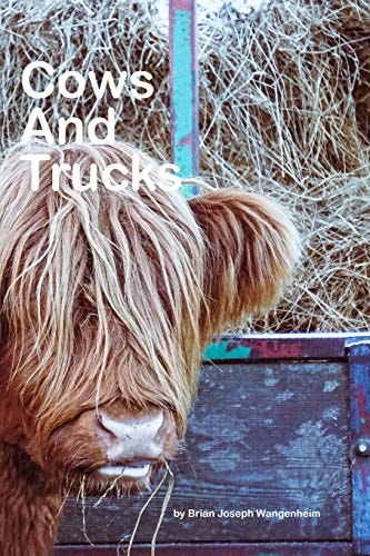 Cows And Trucks Beautiful Pictures of Cows and Trucks