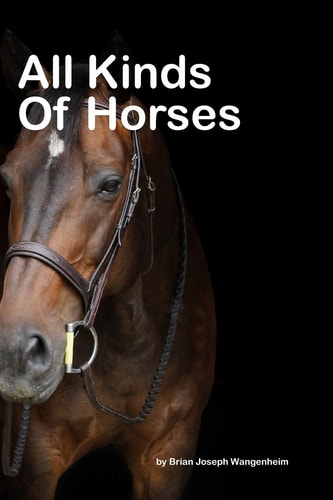 All Kinds Of Horses Beautiful Pictures of Horses