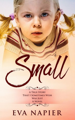 Small A True Story that I Sometimes Wish was Just a Novel