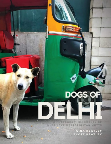 Dogs of Delhi A Photographic Journey of Must Love Metropolitan Mutts
