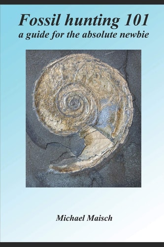 Fossil Hunting 101 A Guide for the Absolute Newbie