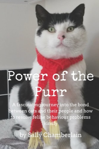 Power Of The Purr A Fascinating Journey Into the Bond Between Cats and Their People and how to Resolve Feline Behaviour Problems Kindly