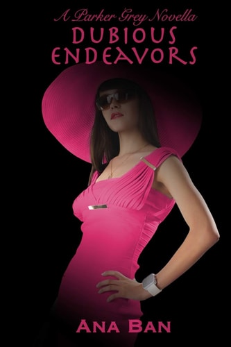 Dubious Endeavors A Parker Grey Novella