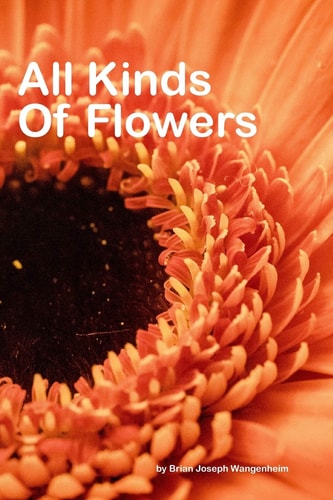 All Kinds Of Flowers Beautiful Pictures of Flowers