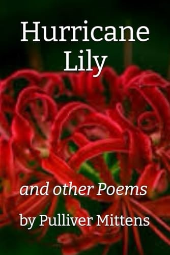 Hurricane Lily And Other Poems