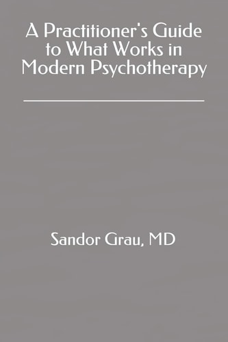 A Practitioner's Guide to What Works in Modern Psychotherapy