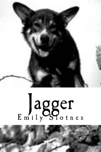 Jagger A Novel
