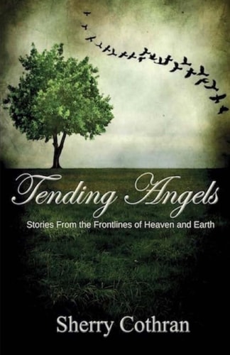 Tending Angels Stories From the Frontlines of Heaven and Earth