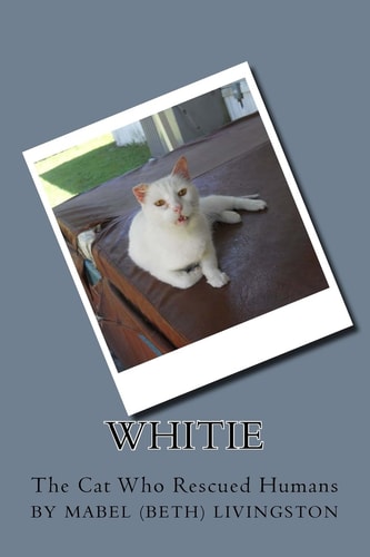 Whitie -- The Cat Who Rescued Humans Whitie
