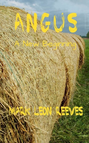 Angus A New Beginning