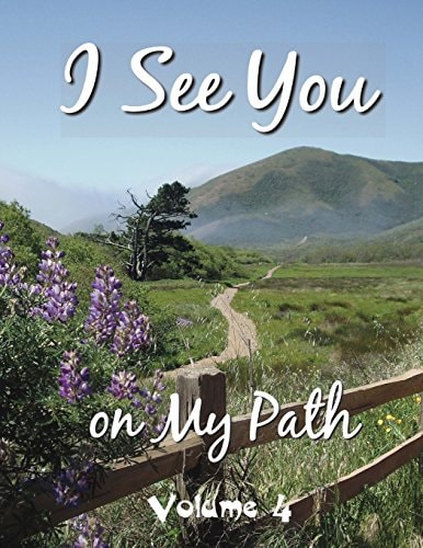 I See You On My Path - 4 Volume 4