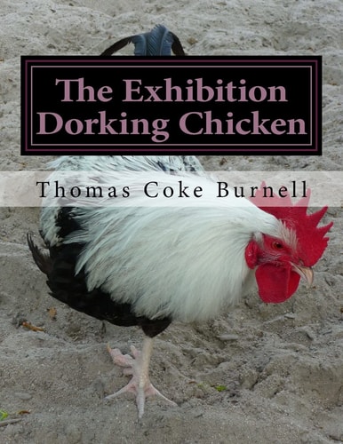 The Exhibition Dorking Chicken Hints to Exhibitors and Poultry Fanciers of the Dorking Fowl